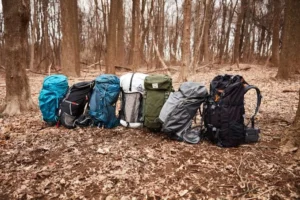 Best Hiking Backpacks for Beginners